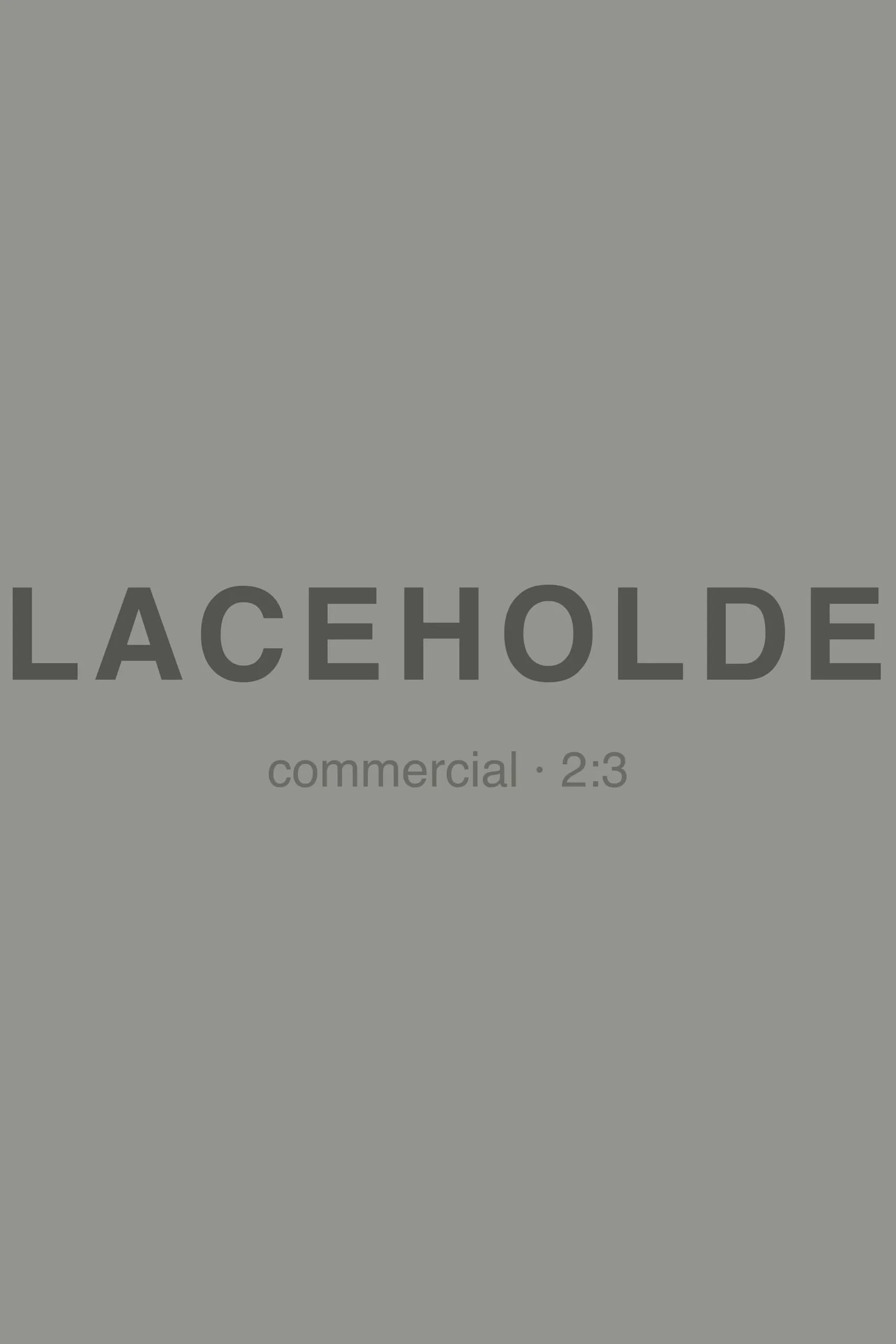 Commercial Placeholder 02