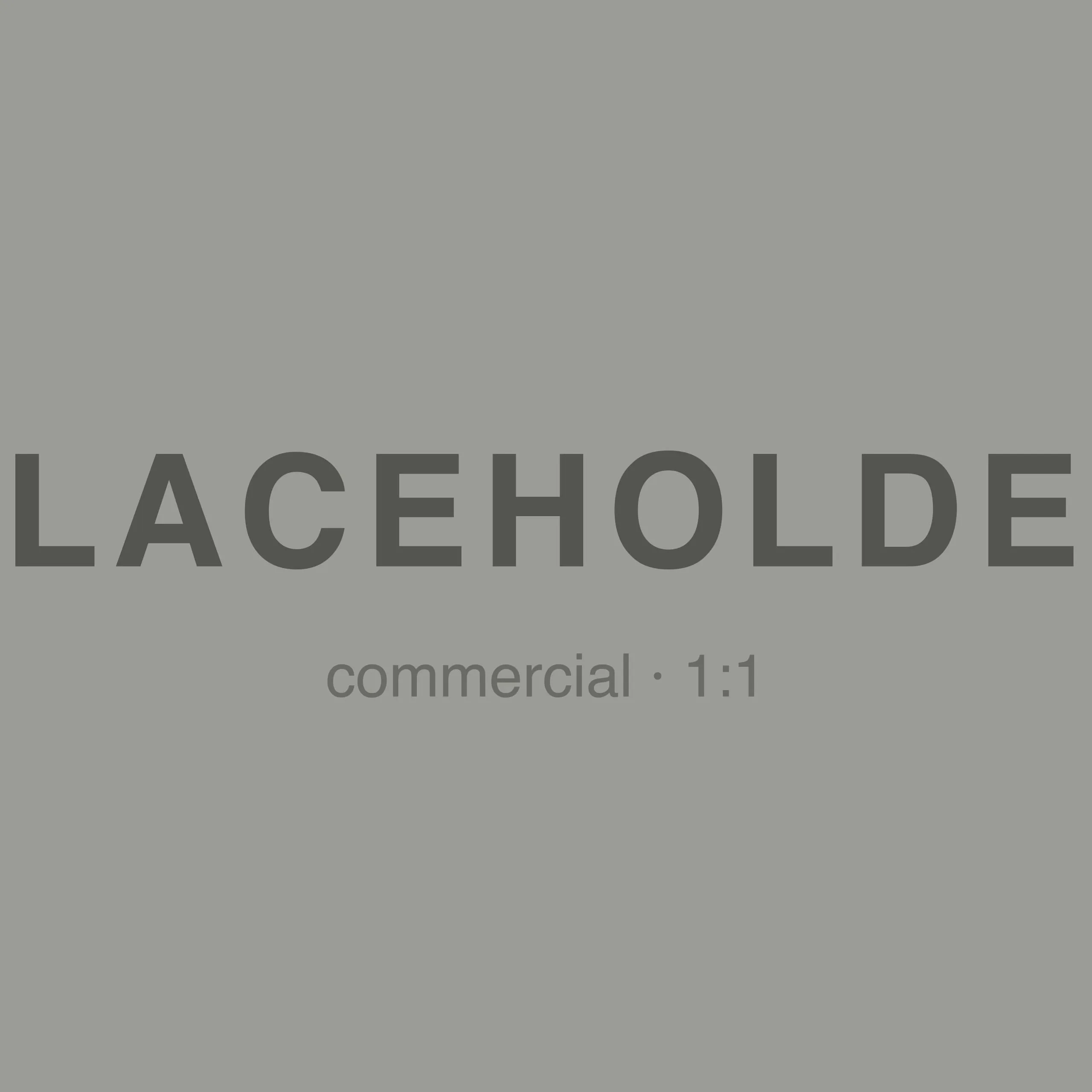 Commercial Placeholder 05