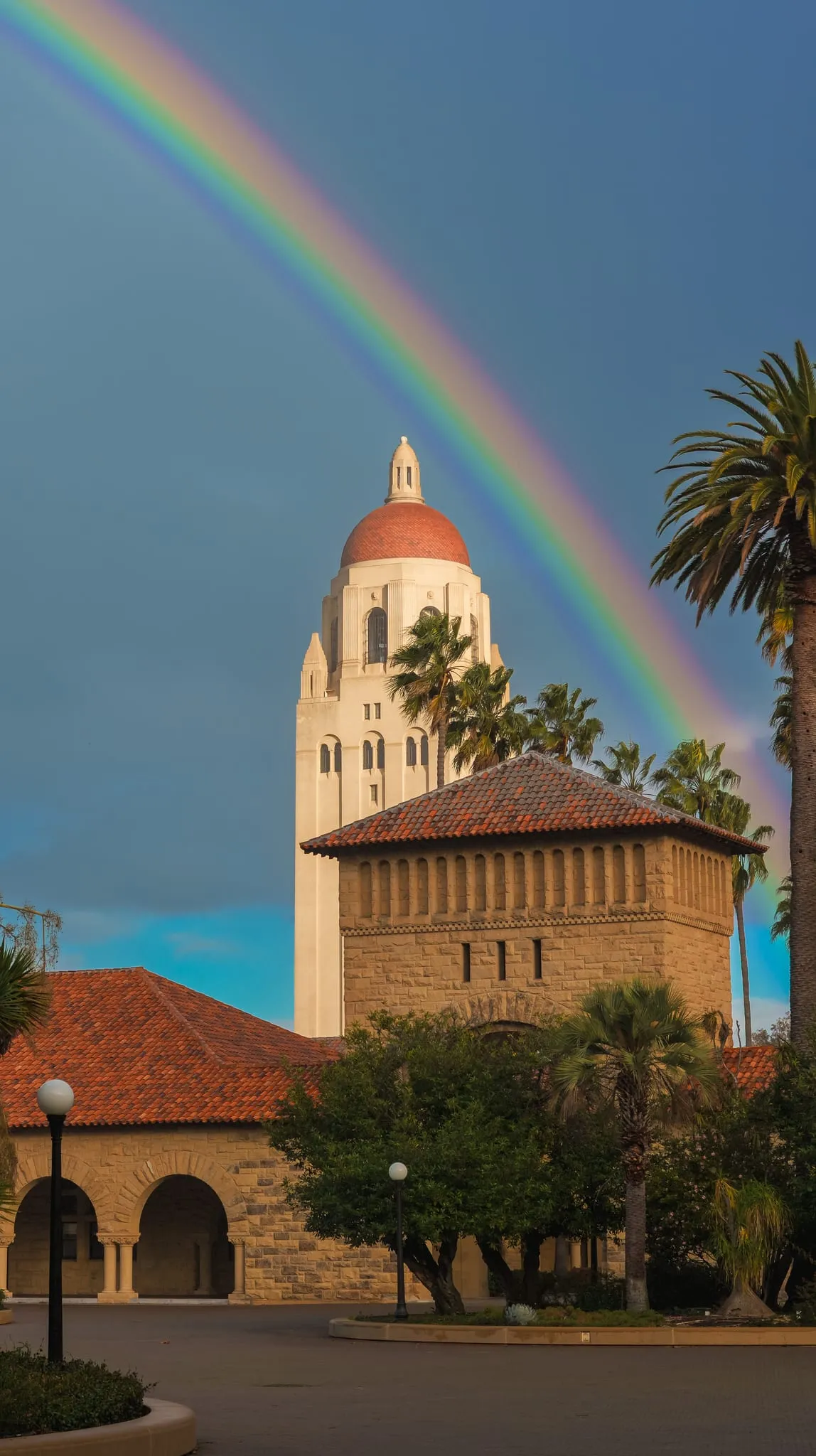 A rainbow arcs behind Hoover Tower and palm trees after a storm on the Stanford campus